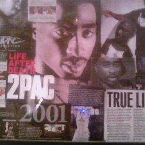 Meet your Posher, Dria